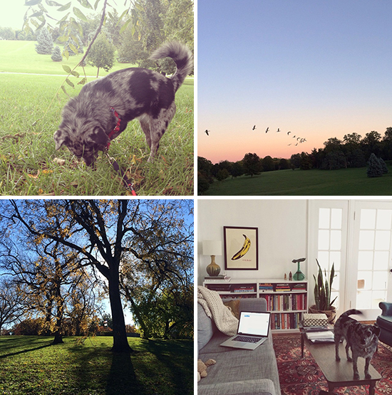 You are currently viewing Looking back 2013: Top 10 brands on social media throughout the year