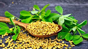 Read more about the article Make fenugreek-rice tonic at home to get a thick long hair!  See method