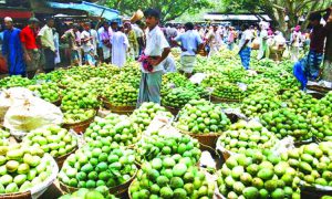 Read more about the article Market full of Himsagar-Langra, sugar will not increase if you eat rose mango?  – Fulcrumy Health Tip