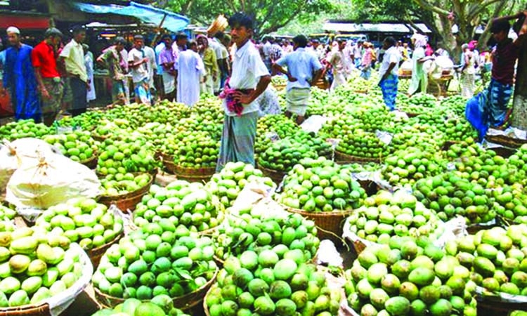 You are currently viewing Market full of Himsagar-Langra, sugar will not increase if you eat rose mango?  – Fulcrumy Health Tip