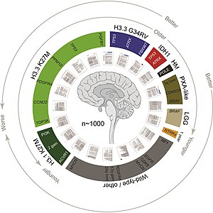 Read more about the article Meta is examining ways to earn money from Facebook profile