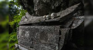 Read more about the article Mysterious human figure hanging on Google Maps!