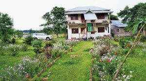 Read more about the article North Bengal Tourism – Fulcrumy Health Tip