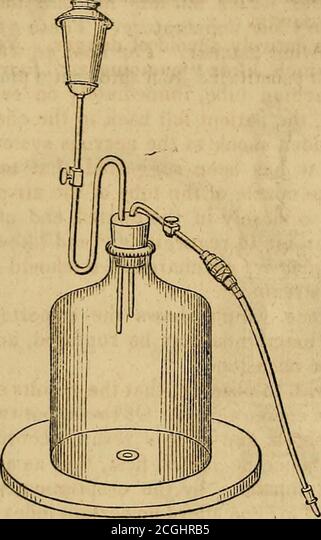 Read more about the article Origin, Remedy and Warning – Fulcrumy Health Tip