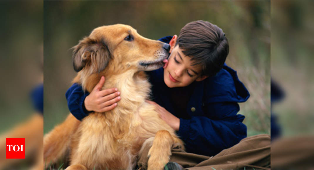 Read more about the article Pet dog helps you to be a good guardian!  Says the survey