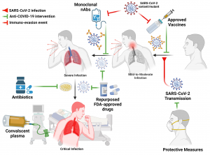 Read more about the article Pfizer and estrogen vaccines capable of fighting against Indian variants