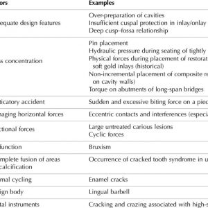 Read more about the article Report – Fulcrumy Health Tip