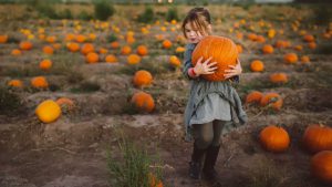 Read more about the article Rice pumpkin cures many diseases including gastric, constipation, you know?