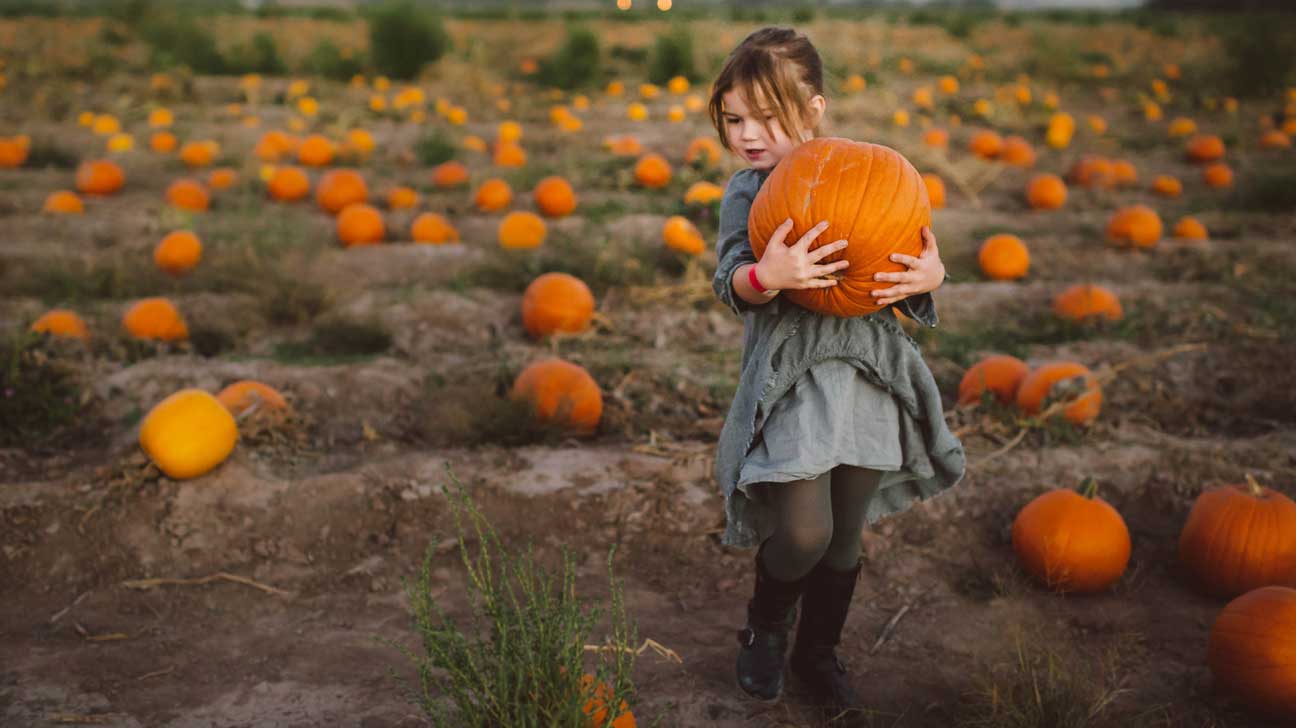 Read more about the article Rice pumpkin cures many diseases including gastric, constipation, you know?