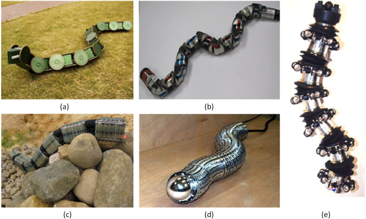 You are currently viewing Robot snake learning self-defense techniques!
