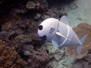 Read more about the article Robotic fish will swim and light in the aquarium!