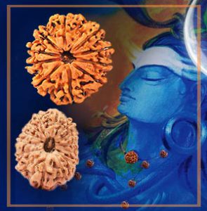 Read more about the article Rudraksha BenefitsRudraksha works like magic to cure diseases!  Knew.