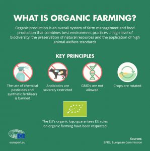 Read more about the article Rules for using and opening an Instagram account