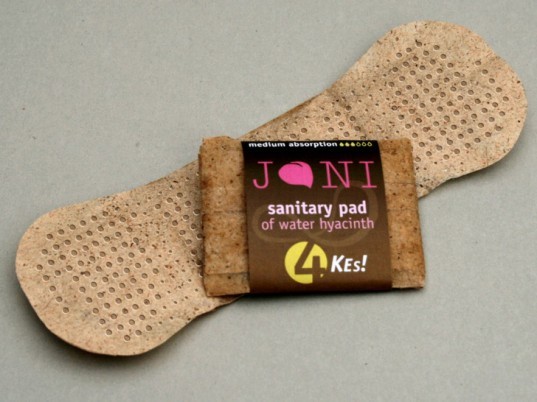 You are currently viewing Sanitary napkins made with water hyacinth, do you know the price?
