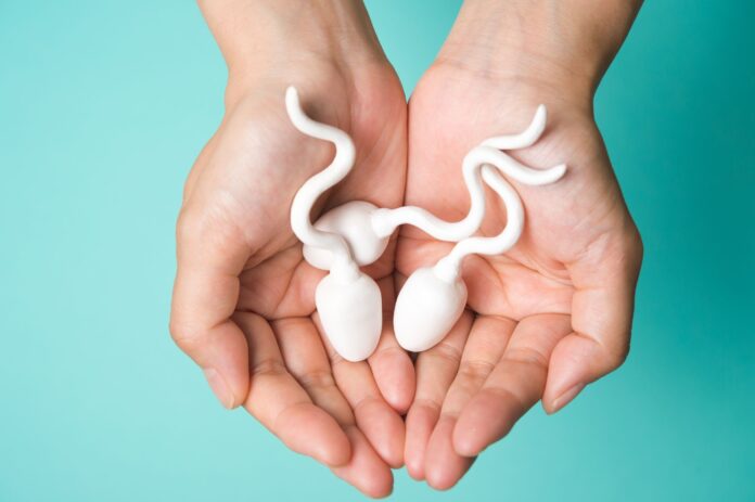 You are currently viewing Scientists have solved a big mystery about the size of sperm