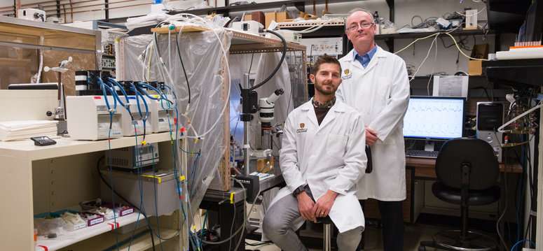 You are currently viewing Scientists new direction to eliminate male infertility!