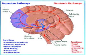 Read more about the article Some frustrating chemistry of love that you must know
