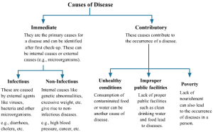 Read more about the article Some of the causes of diet failure – Fulcrumy Health Tip