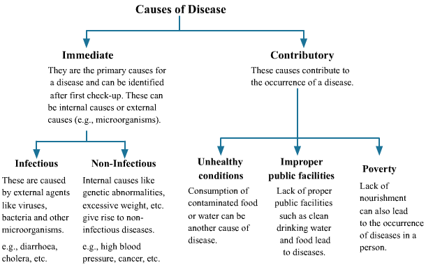 Read more about the article Some of the causes of diet failure – Fulcrumy Health Tip