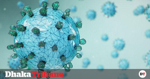 Read more about the article South African Transformed Virus – DesheBideshe – Fulcrumy Health Tip