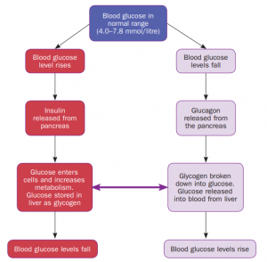 Read more about the article Sugar rising unknowingly?  Discipline and moderation are the only cure for diabetes