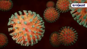 Read more about the article The number of victims increased again, 4,120 dead in 24 hours