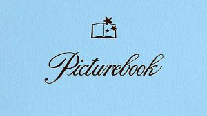 Read more about the article The ‘Picturebook’ app will find your hidden pictures on Facebook!