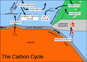 Read more about the article The role of carbon-di-oxide gas in reducing the impact of concrete on the climate