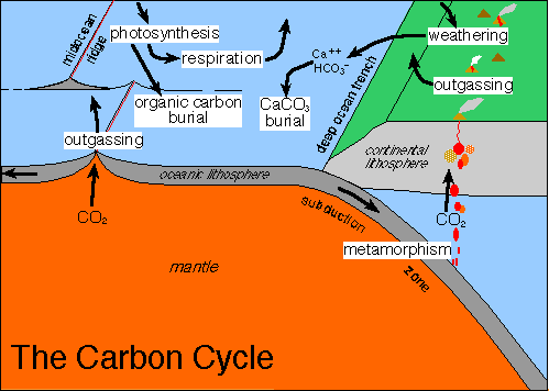 You are currently viewing The role of carbon-di-oxide gas in reducing the impact of concrete on the climate