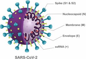 Read more about the article The ‘Sars-Cove-2’ virus can spread from a distance of more than 6 feet, learn new guidelines.