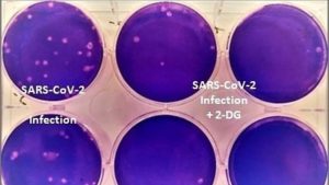 Read more about the article The second batch of DRDO’s 2DG anti-covid drug in the market, the price was fixed by the center