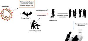 Read more about the article The source of Covid-19 must be found, otherwise Covid-26-Covid-32 may come “- Fulcrumy Health Tip