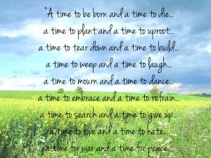 Read more about the article There is a time to drink green tea!  – Kolkata24x7 – Fulcrumy Health Tip