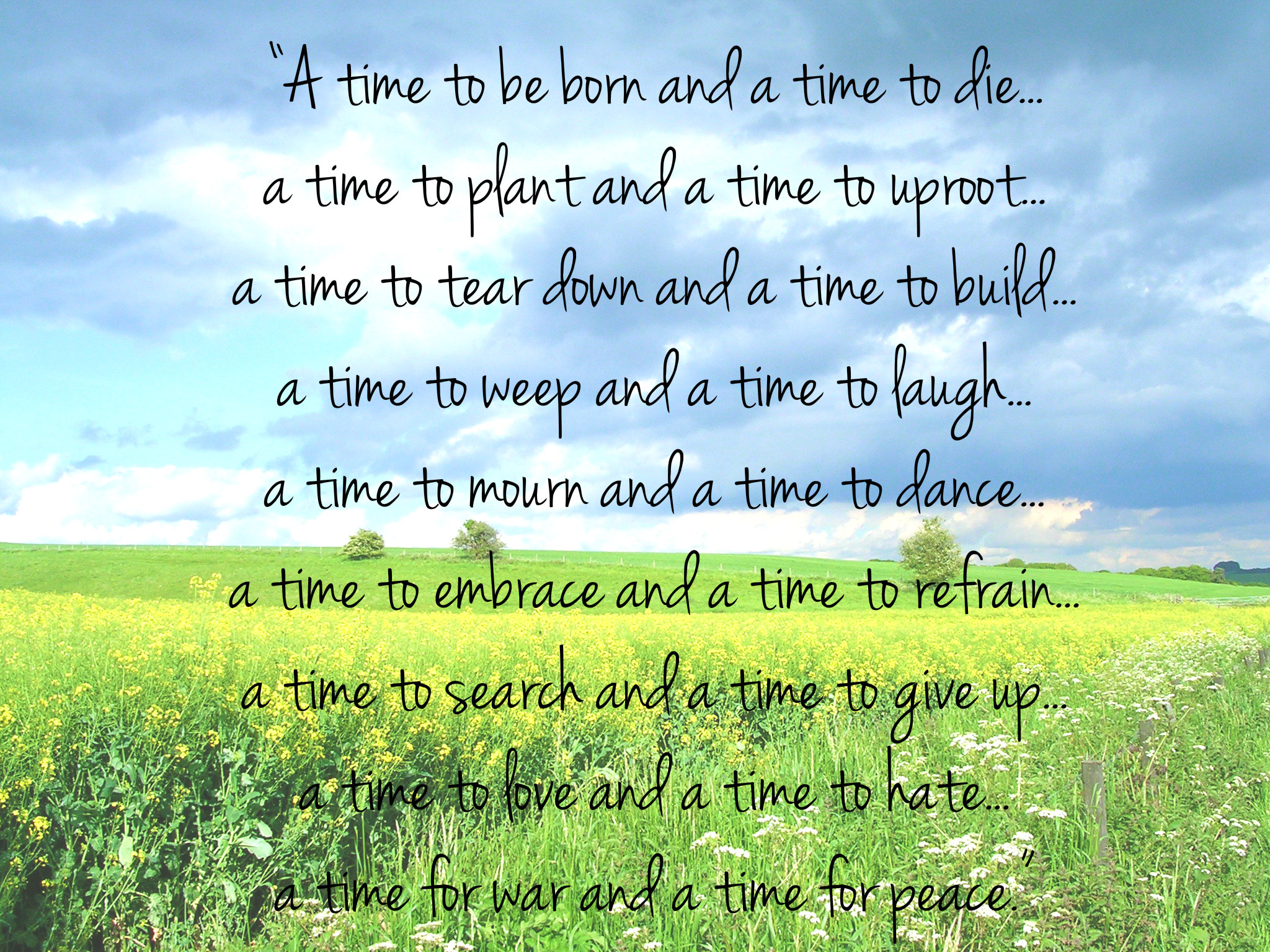 You are currently viewing There is a time to drink green tea!  – Kolkata24x7 – Fulcrumy Health Tip