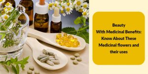 Read more about the article This flower is a medicine for diarrhea and bronchitis, says the doctor