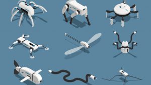 Read more about the article This wonderful robot can be a member of your family