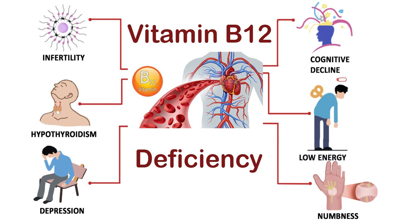You are currently viewing Understand the symptoms of Vitamin C deficiency in the body – Kolkata24x7