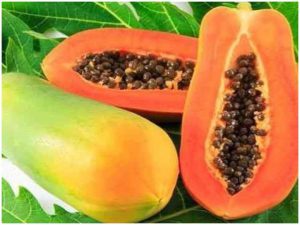 Read more about the article Unknown wonderful properties of papaya seeds, will get rid of many diseases