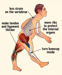 Read more about the article Various problems in the body in the heat!  What to do to stay healthy – Kolkata24x7