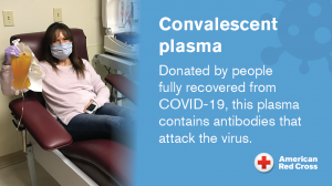 Read more about the article Want to donate plasma?  What foods to keep in the diet, the advice of experts