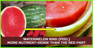 Read more about the article Watermelon peel also has benefits!  – DesheBideshe – Fulcrumy Health Tip