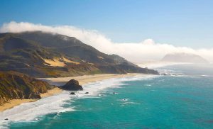 Read more about the article What is known about the new panic white fungus – Fulcrumy Health Tip