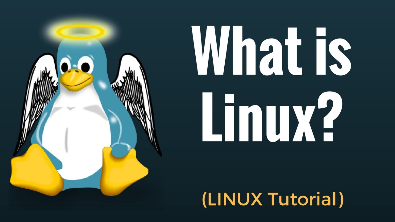 You are currently viewing What is Linux?  What are the advantages of Linux based operating system?