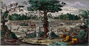 Read more about the article What is the enmity of Apple with Windows?