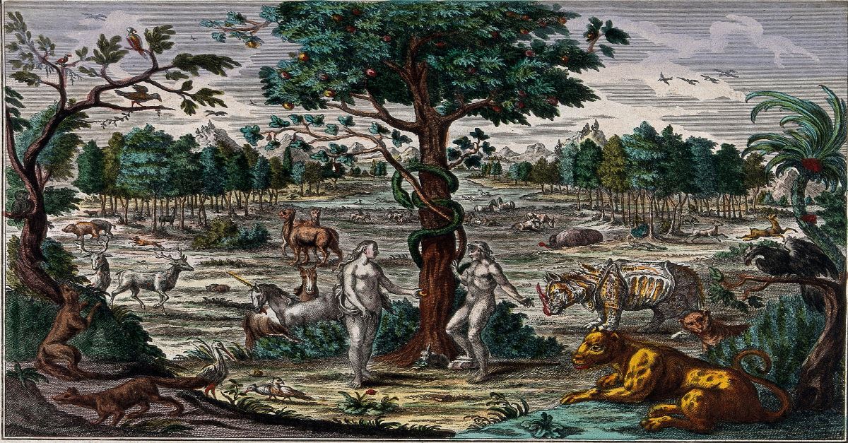 You are currently viewing What is the enmity of Apple with Windows?