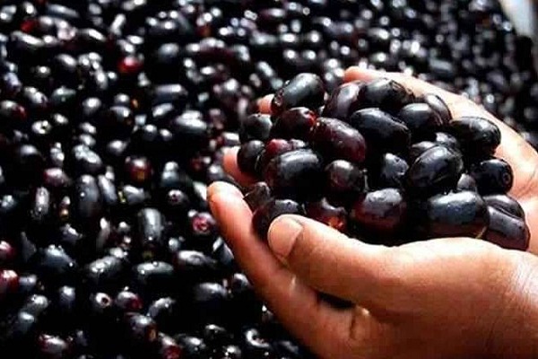 You are currently viewing Why eat jam?  – DesheBideshe – Fulcrumy Health Tip