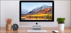 Read more about the article Windows PC or Apple Mac?  Which to buy?