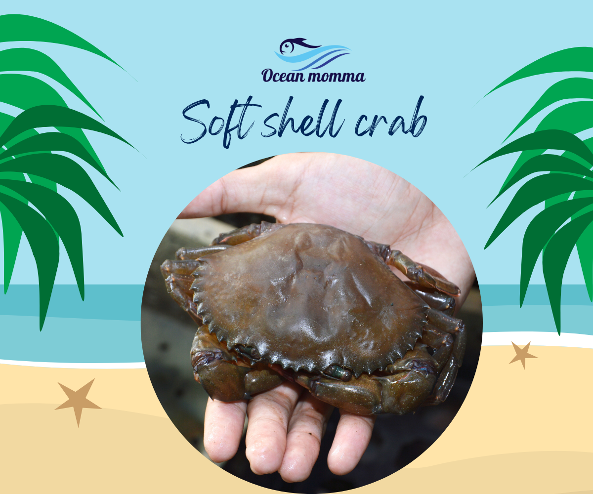 Read more about the article Soft shell crab and its potential health benefits