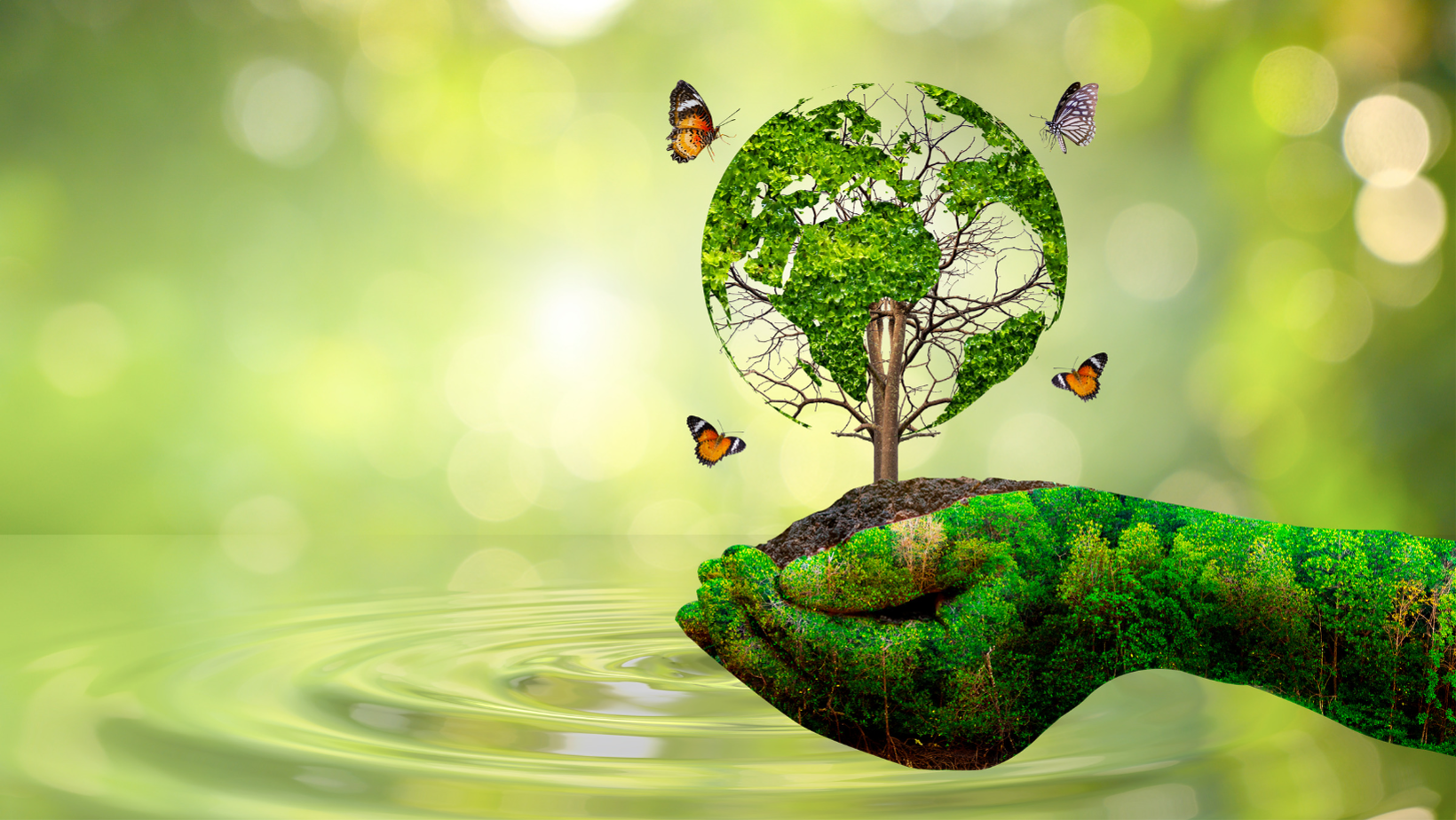 Read more about the article The Present Environment and Sustainable Development: Key Impact Factors