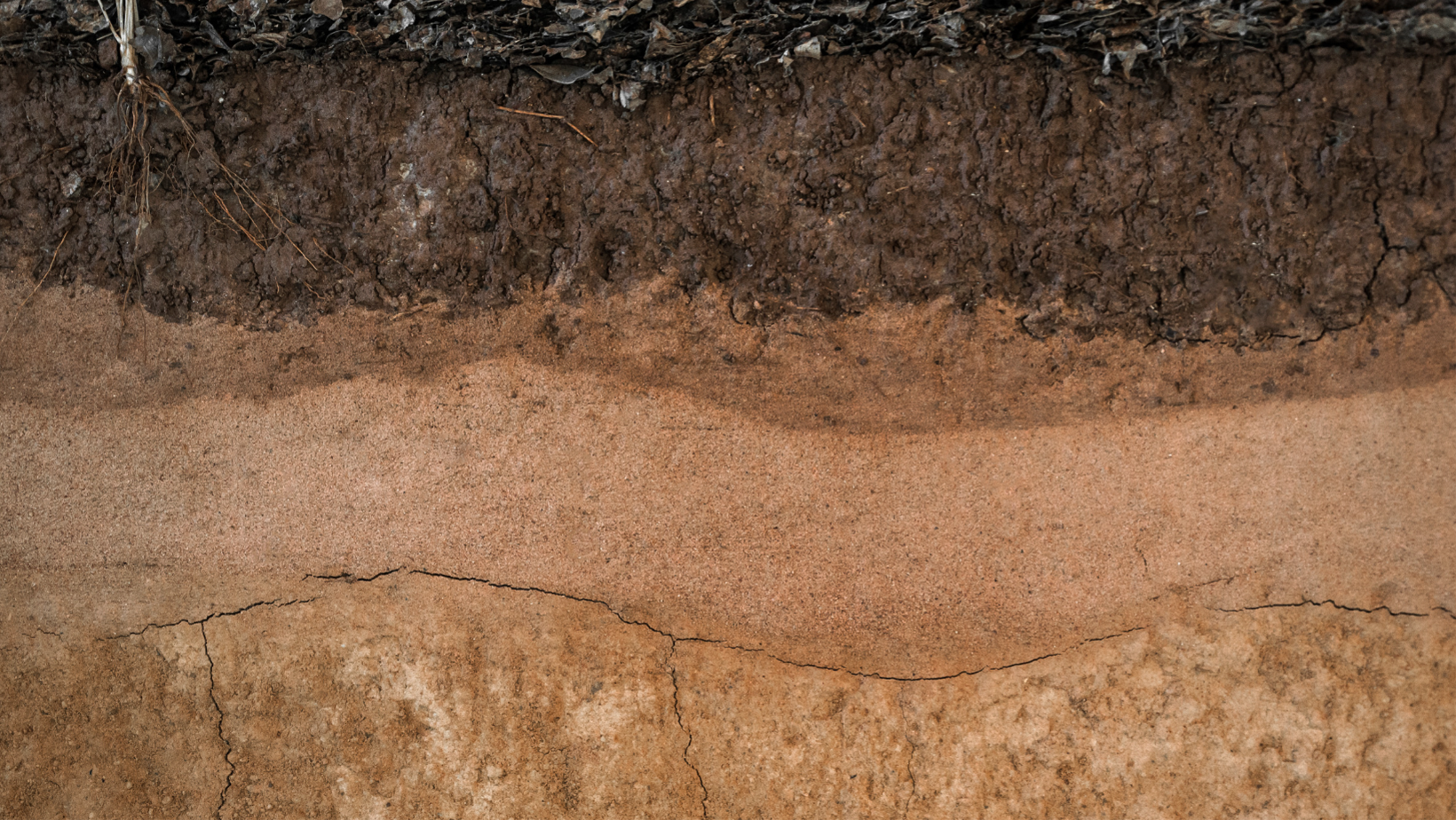 Read more about the article Exploring Soil Texture: A Key Factor in Agricultural Success